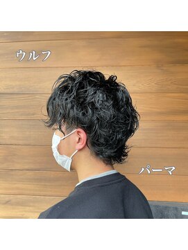 ゼル 大和八木(ZELE) マッシュウルフ