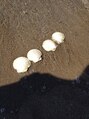 セルマ 自由が丘(selma est) 海は大好きだけど泳がない。