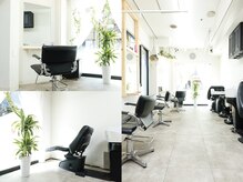 自然光と緑に癒される、やさしい空間でリラックスできます♪