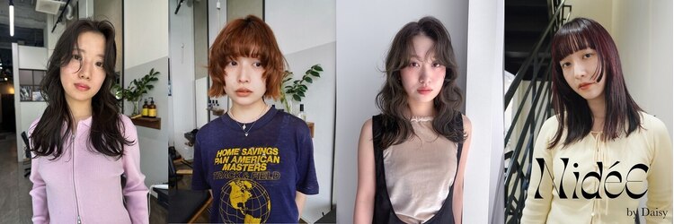 ニディー バイ デイジー(Nidee by Daisy)のサロンヘッダー