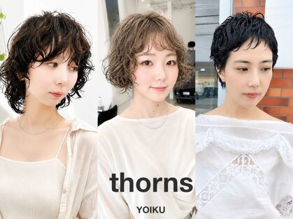ソーンズ ヨイク(thorns YOIKU)の写真