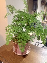 エヌケーノワール(NK NOIR)&nbsp;赤城 文子