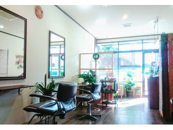 Luana hair & eyelash