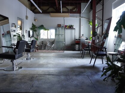 ボウ(BOW)の写真