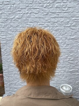 アクイール イストワール(Accueillir Histoire) 波巻きツイスパ