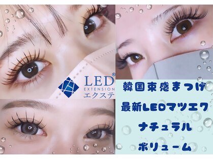 ラビッシー(Ravissy)の写真