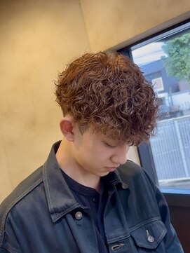 アンサー(answer) 波巻きプードル×ミルクティーブラウン