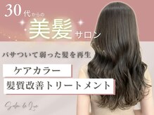 サロン ド リュクス(Salon de Luxe)