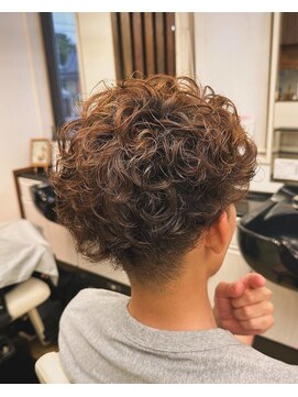 レアール アームス(LeR ames) トイプードルヘア