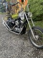 ローカルズ(Locals) Harley-Davidson
