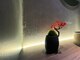ルー ハナレ(Luu HANARE)の写真