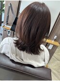 ミディアムウルフ