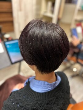 クレマチス(Clematis) 簡単ショート