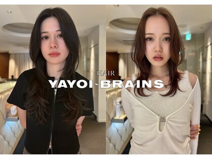 ヤヨイブレインズフェアリー(YAYOI BRAINS fairy)の写真