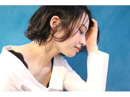 アオ(AO)の写真