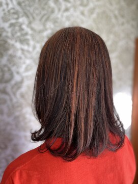 ビオラス(Vi-olus) IPMヘナ染め ハリコシ ツヤ髪 敏感肌の方