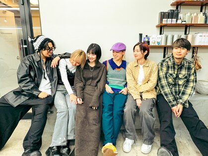 ソソ(soso)の写真