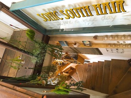 ソニック サウス ヘアー(sonic south hair)の写真
