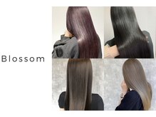美容室ブロッサム ふじみ野店(Blossom)