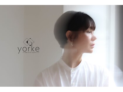ヨーク(yorke)の写真