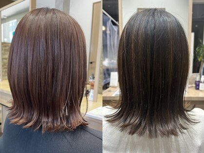 ビースリー ロアの写真