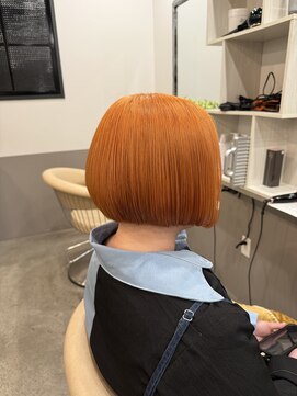 ドッグスター(dog star) ハイトーンカラーアプリコットオレンジ[登戸/向ヶ丘遊園]