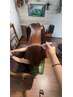 美髪ストレート＋カラーリタッチ＋トリートメント