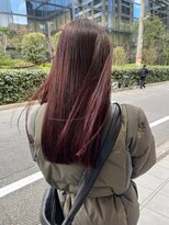 シイ(SIE)&nbsp;ワンカラーレッドブラウン