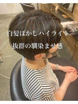 ドルセ(Dulce) 白髪ぼかし