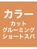 【G】■カラー＋カット＋グルーミング+ショートスパ