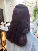 春色ピンクラベンダー♪