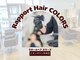 ラポールヘアカラーズ イオンタウン矢本店(Rapport Hair COLORS)の写真/カラー専門店だからお財布に優しく定期的に通える◎お買い物帰りや、気になった時いつでもすぐカラー♪