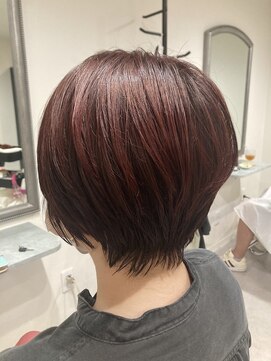 ガーベラ(gerbera) 秋カラー♪ベリーピンク