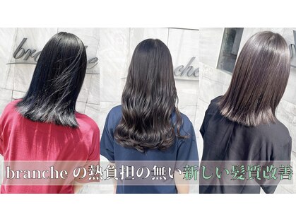 ブランシェ(branche)の写真