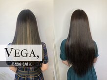 ヴェガ 代官山(VEGA,)