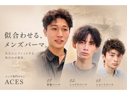 エース(ACES)の写真