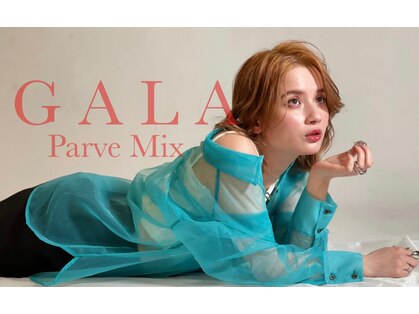 パーヴミックスガラ(Parve Mix GALA)の写真