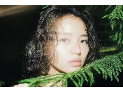 シー(si)の写真