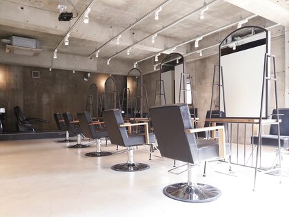 シスタ(SISTA)の写真