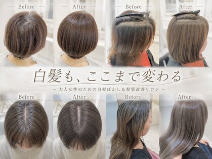 セレスト 川口店(CELESTE)の写真
