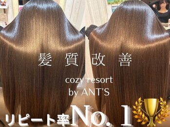 cozy resort by ANT'S　茅ヶ崎駅前店【コージー リゾート バイ アンツ】