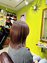 シースティア(siistia)&nbsp;《オレンジブラウン×ミディアム》