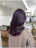 【SHUN】ダークパープル
