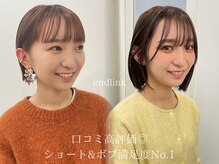 エンドリンク(endlink)