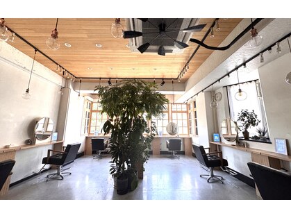 カリシア(CARICIA)の写真