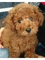 ライズ ヘアー(RISE HAIR) うちの犬