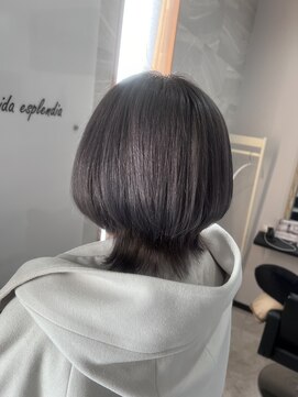 リベルター(Libertad) ダブルカラー