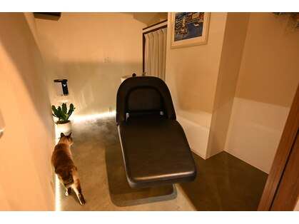 グースカ(guusca)の写真