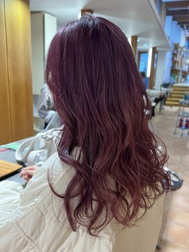 アルファサリダ(ALPHA SALIDA) 暖色ブリーチカラー