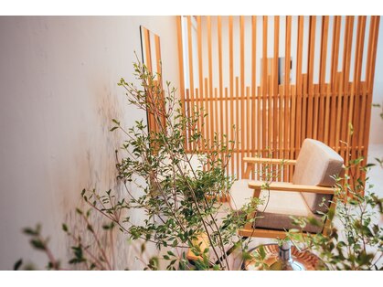 オクユキ(OKUYUKI)の写真